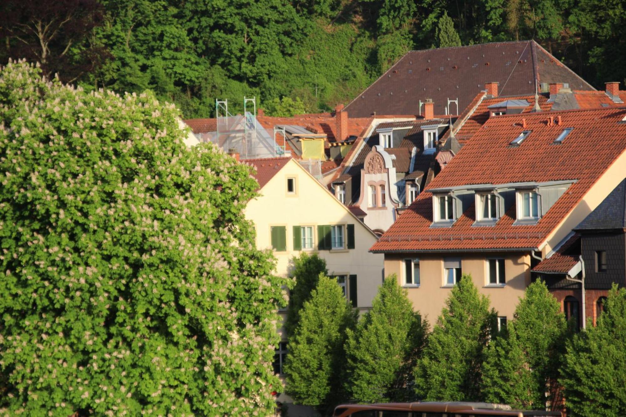 Hotel Zur Alten Bruecke Heidelberg Room photo